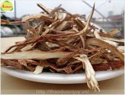 Những vị thuốc trị bệnh tim mạch