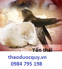 Yến thái