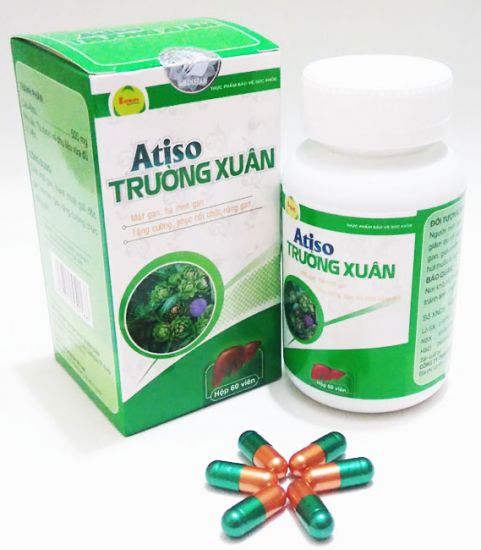 Cao Atiso Trường Xuân