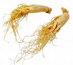 Bài thuốc điều trị ra mồ hồi nhiều lúc thức ( tự hãn)