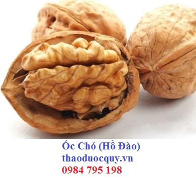Óc Chó