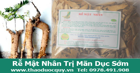 Rễ cây bá bệnh | Mật Nhân | Giúp Tăng Cường Sinh Lý