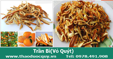 Trần bì| Vỏ Quýt| Vỏ Cam