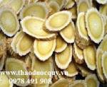 Hoàng kỳ hỗ trợ điều trị ung thư
