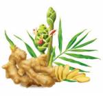 Thức uống trong bếp trị chứng đầy hơi, chướng bụng