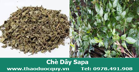 ch&egrave; d&acirc;y sapa