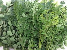 ch&ugrave;m-ng&acirc;y