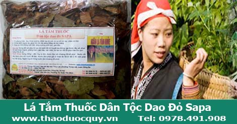 l&aacute; tắm thuốc 