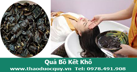 quả bồ kết