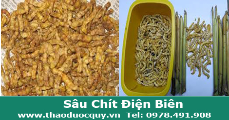 eir1357610911 Những t&aacute;c dụng kh&ocirc;ng ngờ của s&acirc;u ch&iacute;t